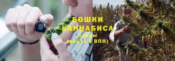 молекула духа Липки
