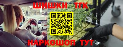стаф Кулебаки